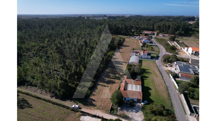 Terreno para Venda em Soza Foto 6