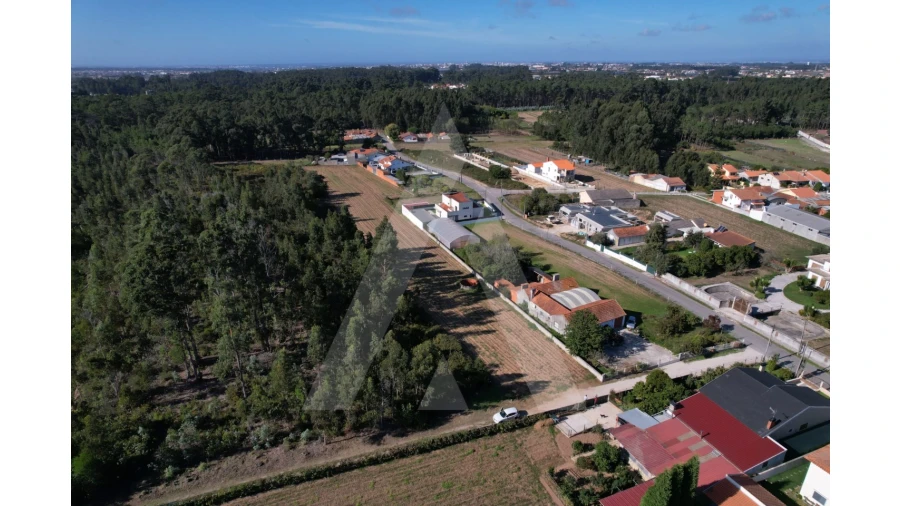 Terreno para Venda em Soza Foto 7