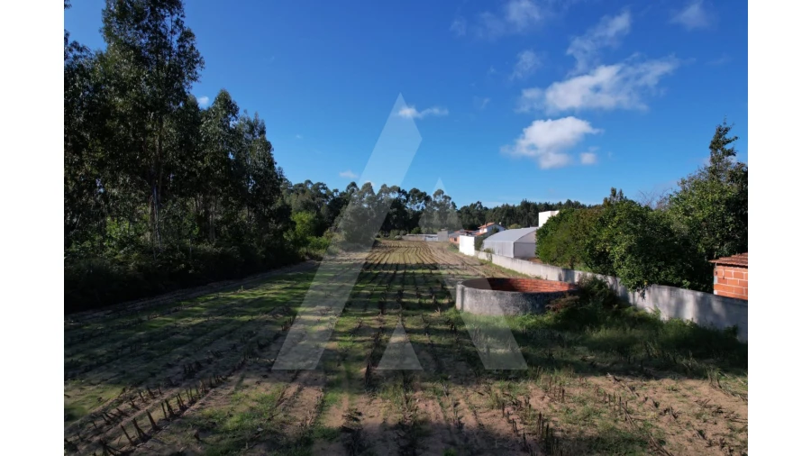 Terreno para Venda em Soza Foto 1