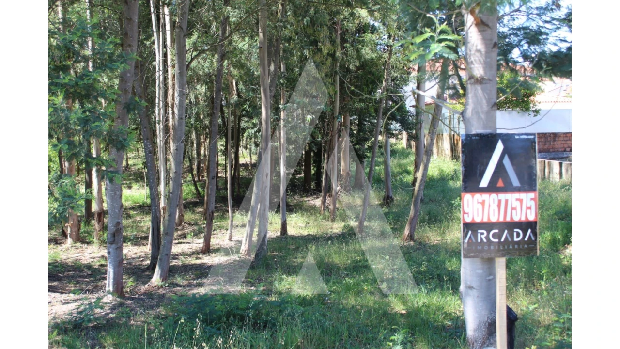 Terreno para Venda em Macinhata do Vouga Foto 3