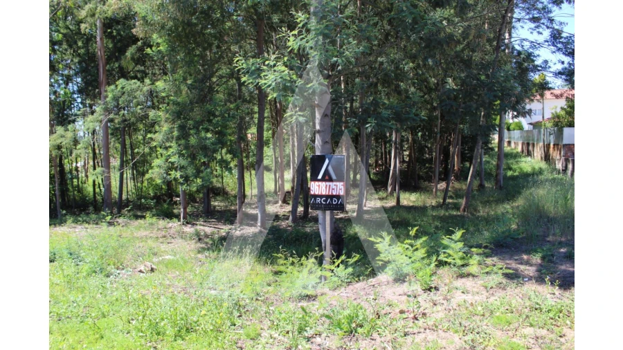 Terreno para Venda em Macinhata do Vouga