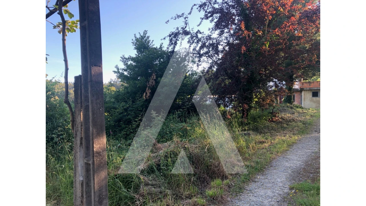 Terreno para Venda em Pessegueiro do Vouga Foto 3