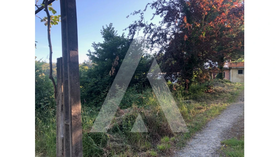 Terreno para Venda em Pessegueiro do Vouga Foto 3