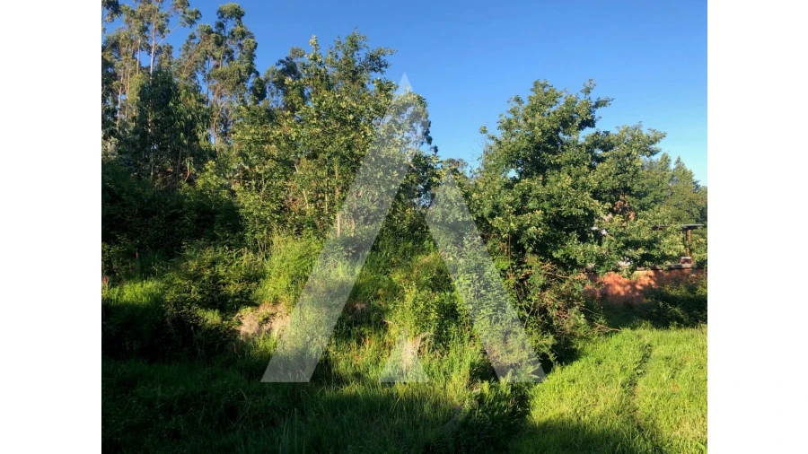 Terreno para Venda em Pessegueiro do Vouga Foto 8