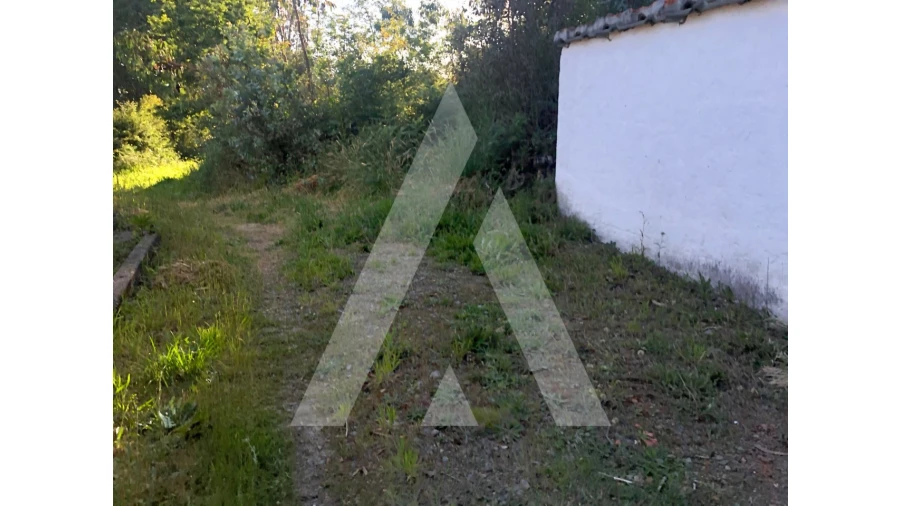 Terreno para Venda em Pessegueiro do Vouga Foto 10