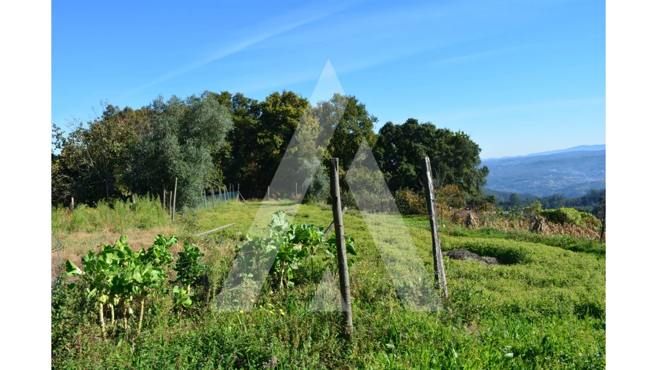 Terreno para Venda em Rocas do Vouga Foto 8