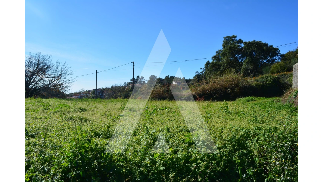 Terreno para Venda em Rocas do Vouga Foto 9