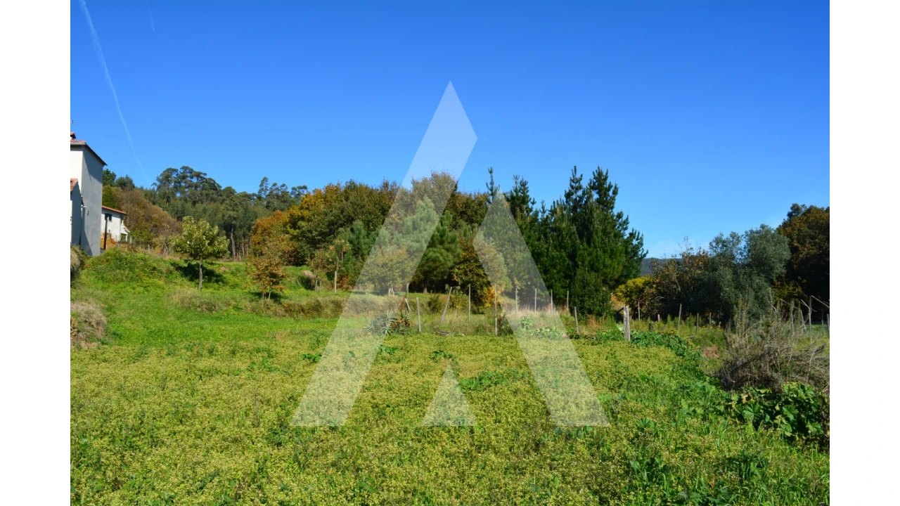 Terreno para Venda em Rocas do Vouga Foto 11