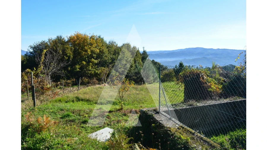 Terreno para Venda em Rocas do Vouga Foto 6