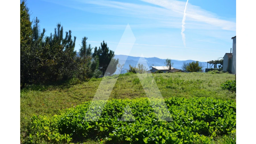 Terreno para Venda em Rocas do Vouga Foto 7