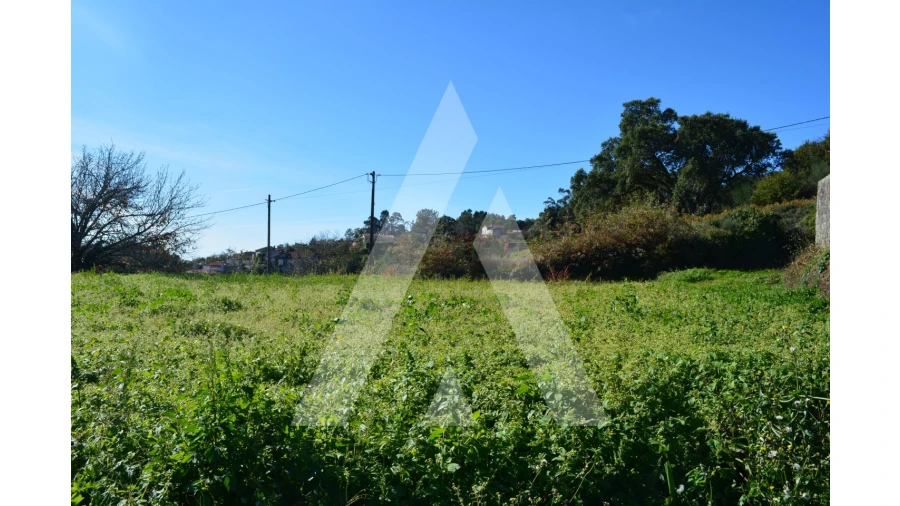 Terreno para Venda em Rocas do Vouga Foto 9