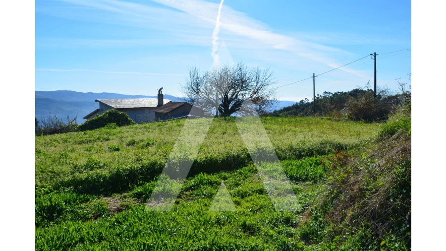 Terreno para Venda em Rocas do Vouga Foto 10