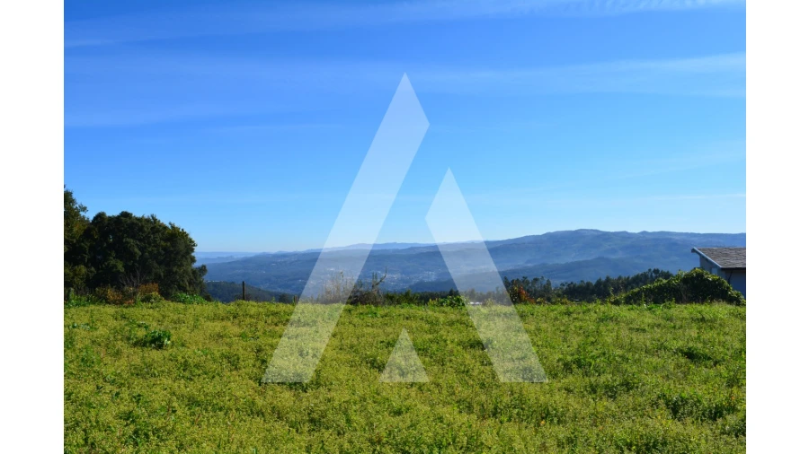 Terreno para Venda em Rocas do Vouga Foto 14