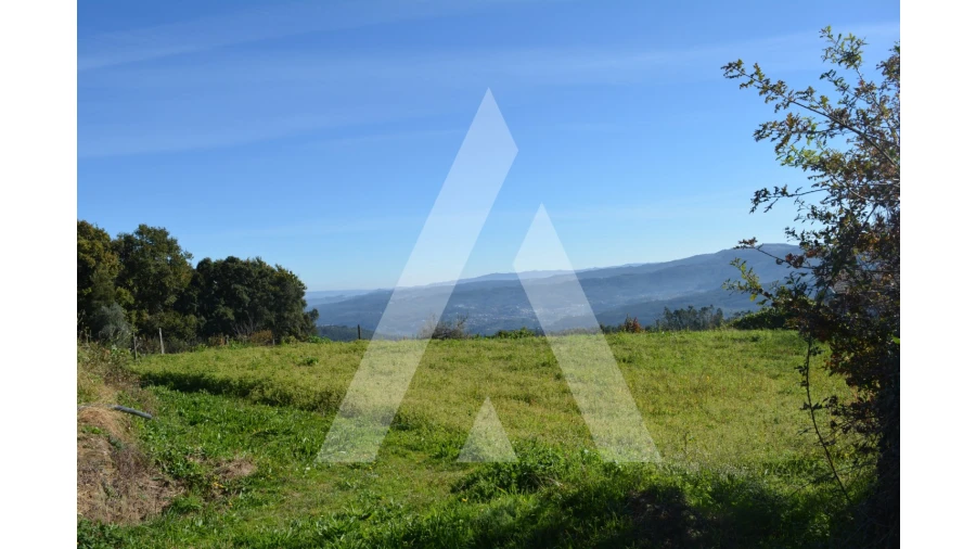 Terreno para Venda em Rocas do Vouga Foto 17