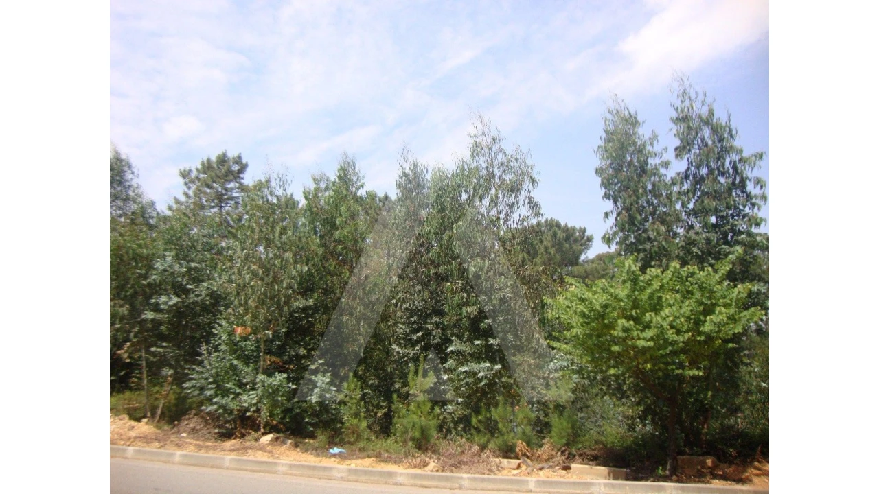 Terreno para Venda em Arcos e Mogofores Foto 1