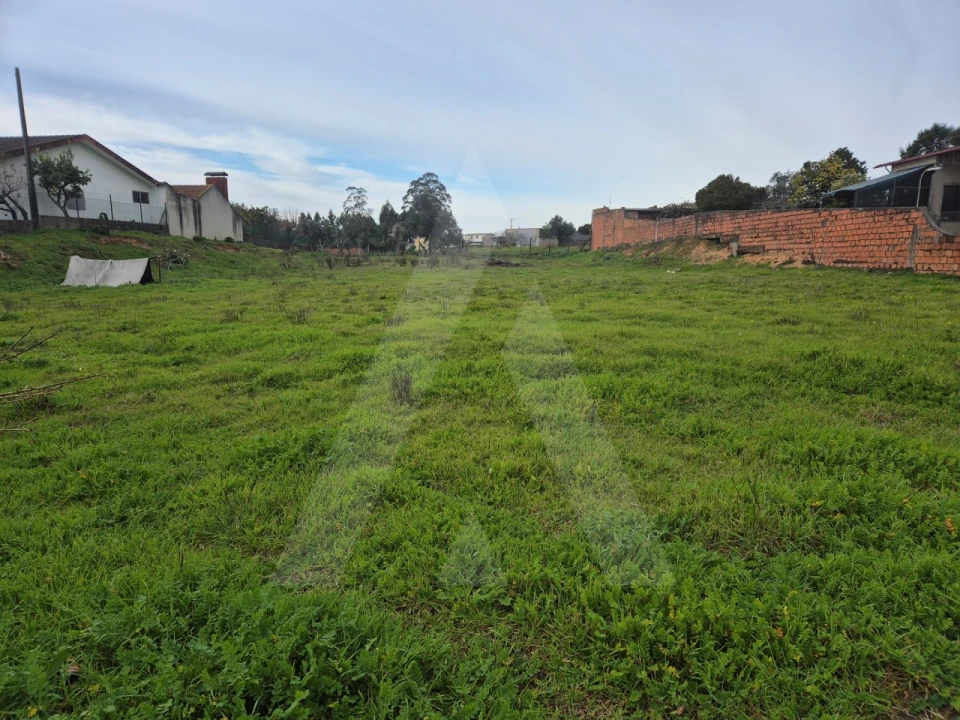 Terreno para Venda em Angeja Foto 1