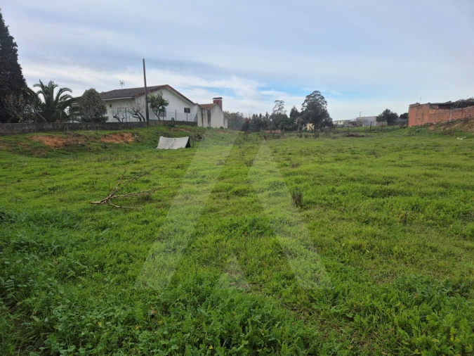 Terreno para Venda em Angeja Foto 3