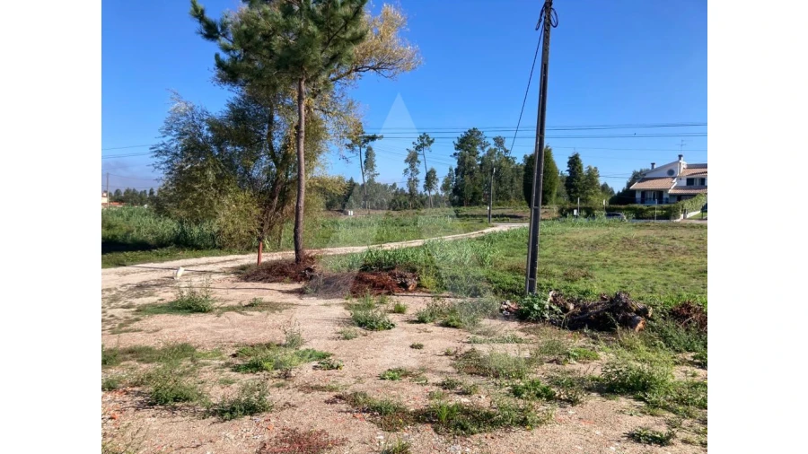 Armazém para Venda em Palhaça Foto 15