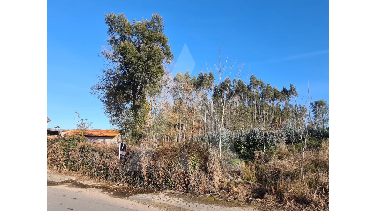 Terreno para Venda em Travassô e Óis da Ribeira Foto 2