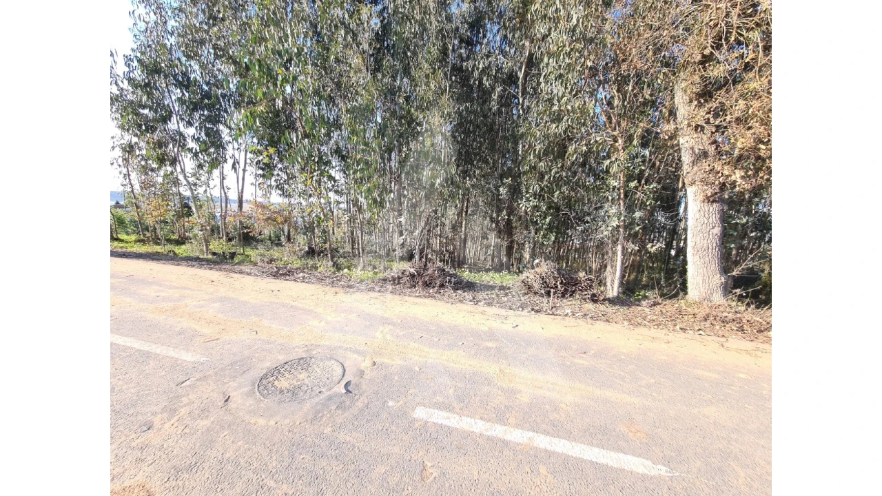 Terreno para Venda em Travassô e Óis da Ribeira Foto 3