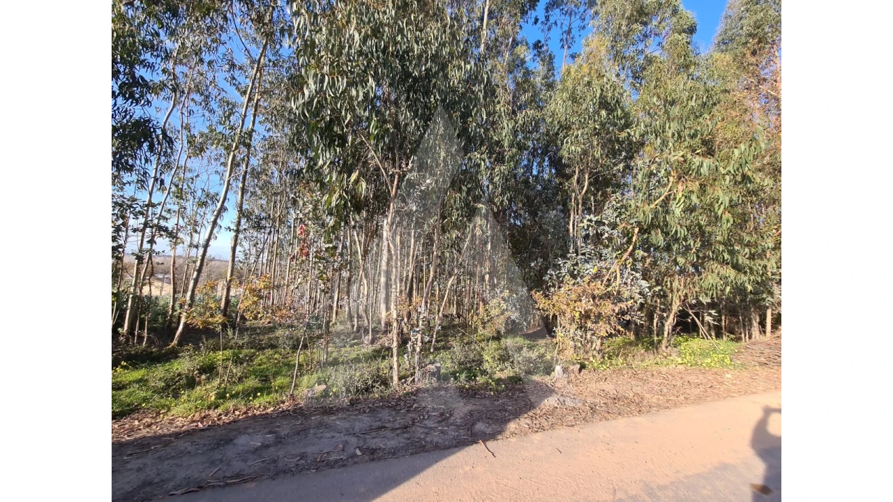 Terreno para Venda em Travassô e Óis da Ribeira Foto 6