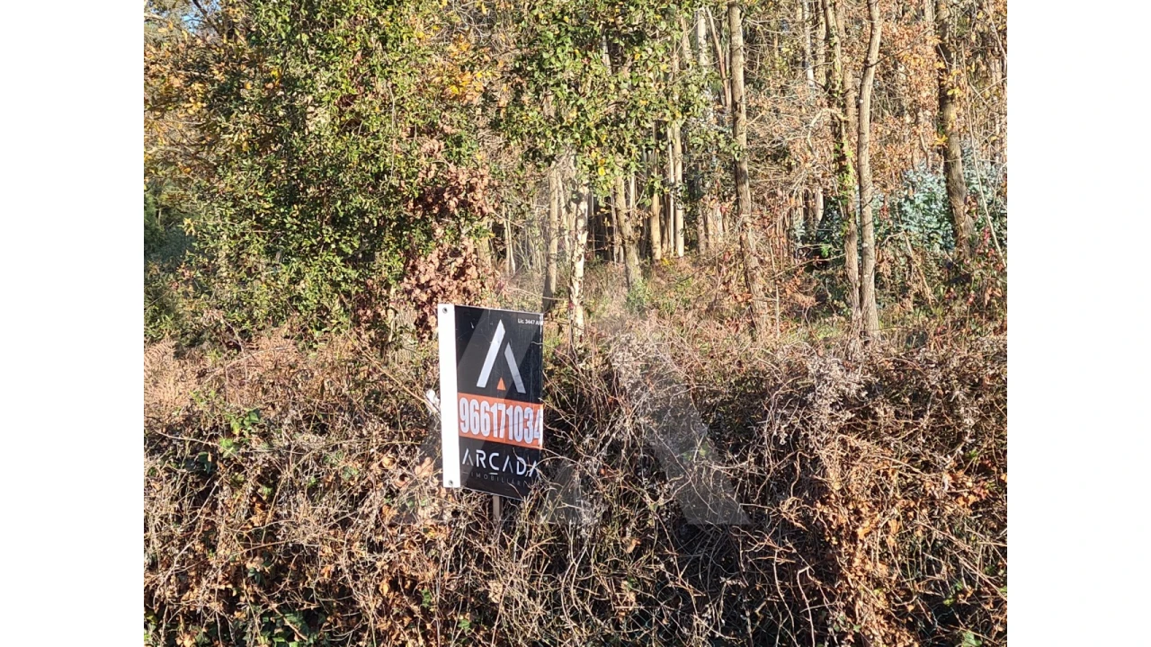 Terreno para Venda em Travassô e Óis da Ribeira Foto 7