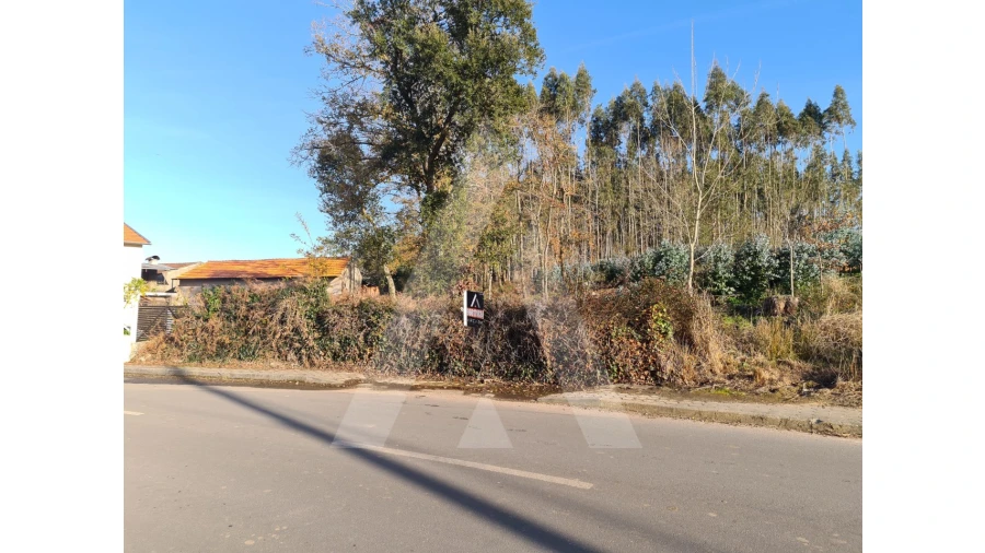 Terreno para Venda em Travassô e Óis da Ribeira Foto 4