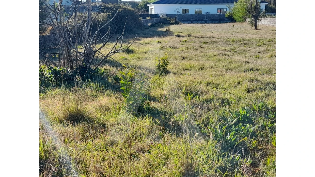 Terreno para Venda em Calvão Foto 2