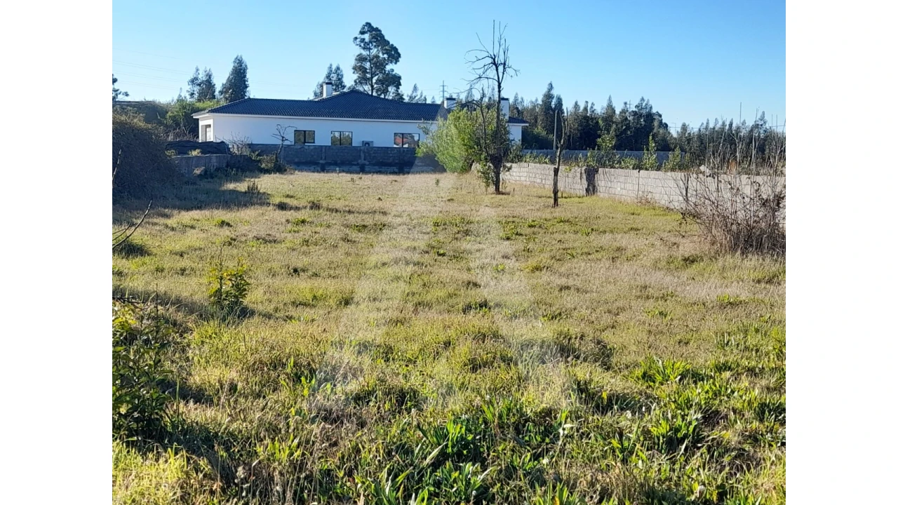 Terreno para Venda em Calvão Foto 1