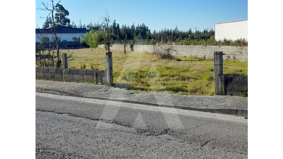 Terreno para Venda em Calvão Foto 5