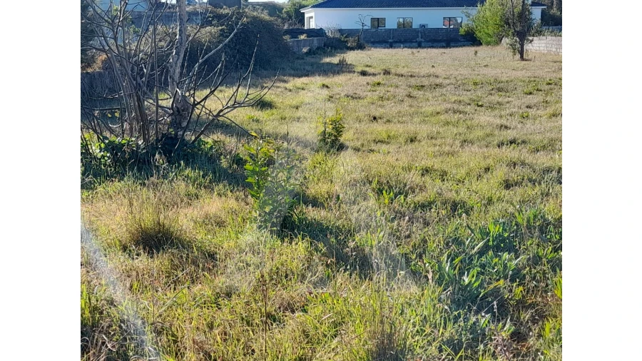 Terreno para Venda em Calvão Foto 2