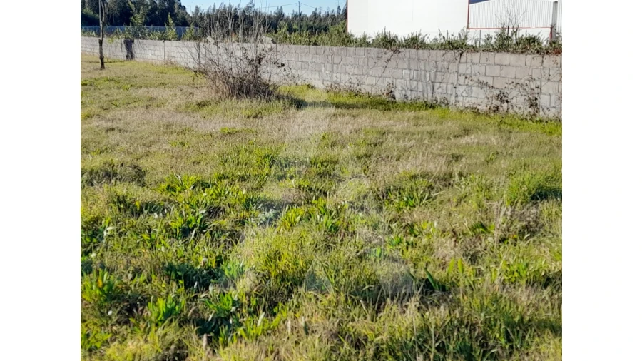 Terreno para Venda em Calvão Foto 4