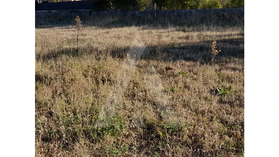 Terreno para Venda em Calvão Foto 7