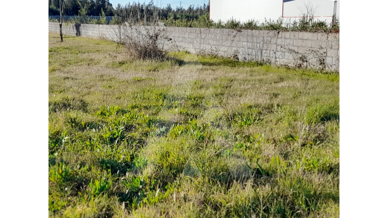Terreno para Venda em Calvão Foto 2