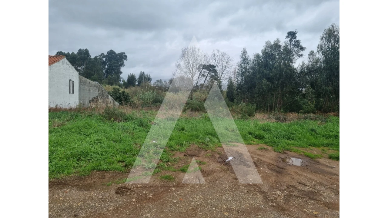 Terreno para Venda em Barrô e Aguada de Baixo Foto 1