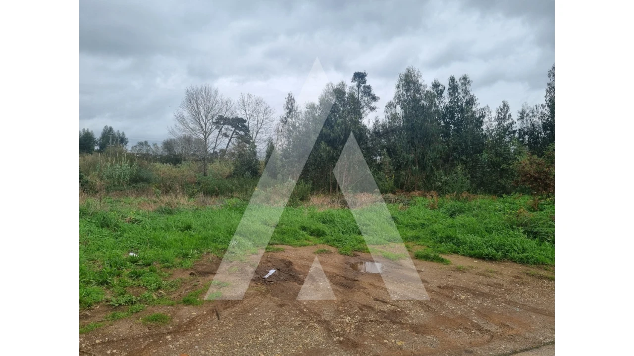 Terreno para Venda em Barrô e Aguada de Baixo Foto 2