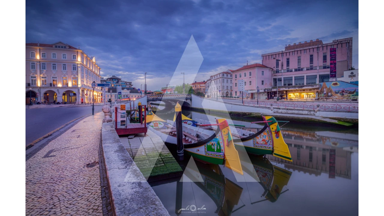 Terreno para Venda em Barrô e Aguada de Baixo Foto 8