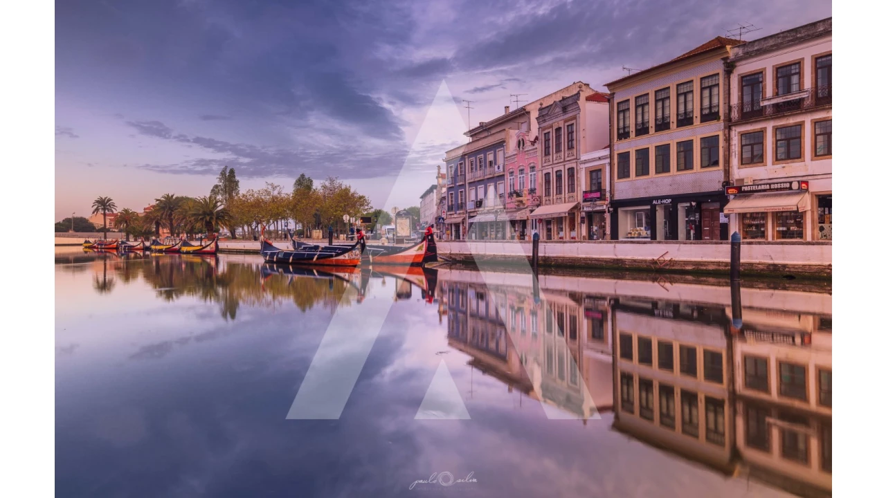 Terreno para Venda em Barrô e Aguada de Baixo Foto 10