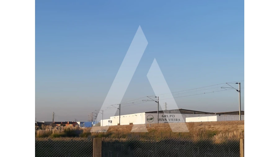 Terreno Comércio / Armazém para Venda em Gafanha da Nazaré Foto 1