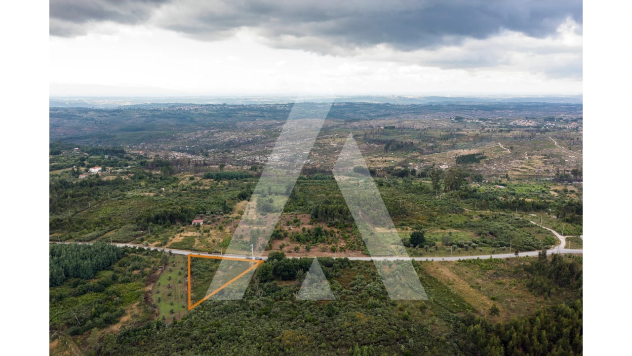 Terreno para Venda em Lagares Foto 5