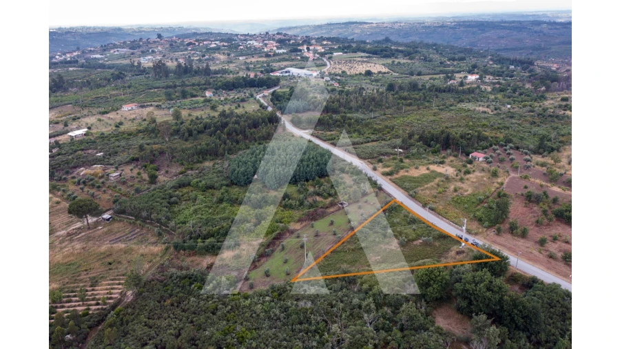 Terreno para Venda em Lagares Foto 3