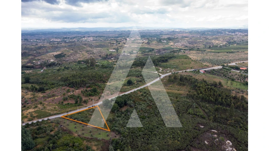 Terreno para Venda em Lagares Foto 6