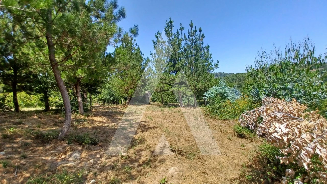Terreno para Venda em Couto de Baixo e Couto de Cima Foto 6