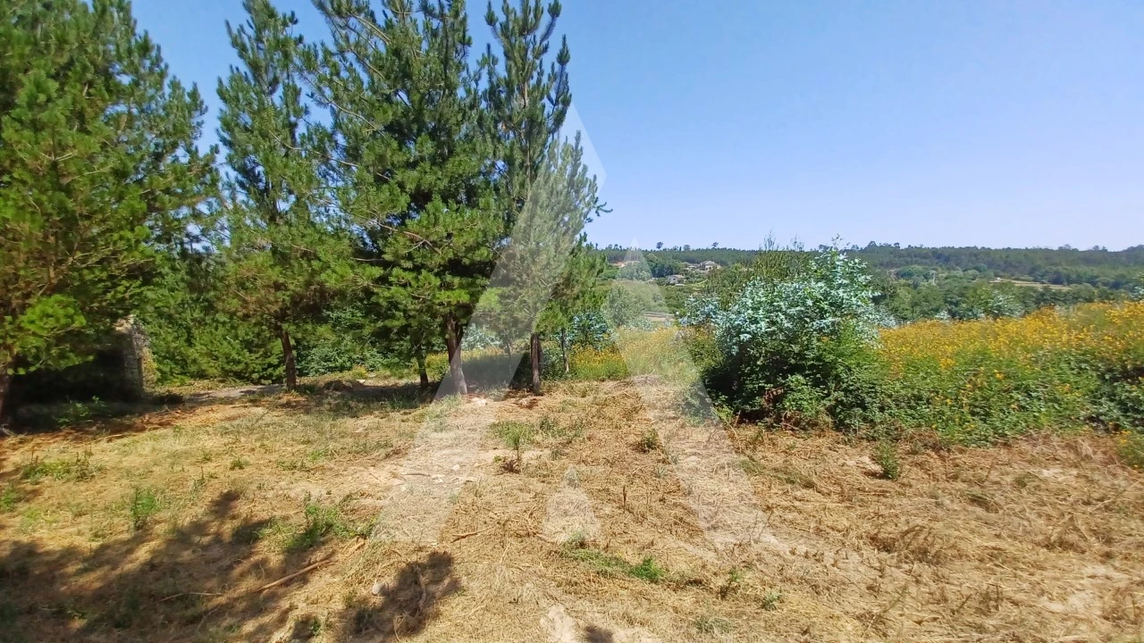 Terreno para Venda em Couto de Baixo e Couto de Cima Foto 8