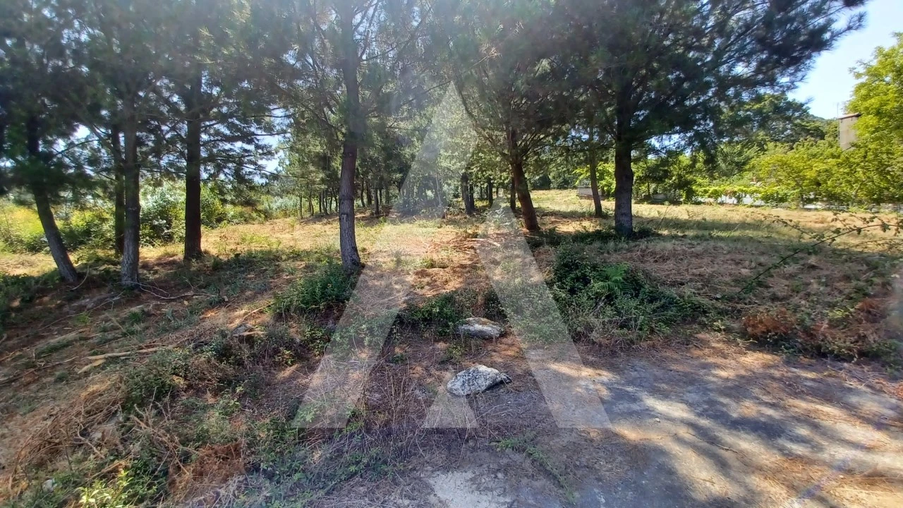 Terreno para Venda em Couto de Baixo e Couto de Cima Foto 9