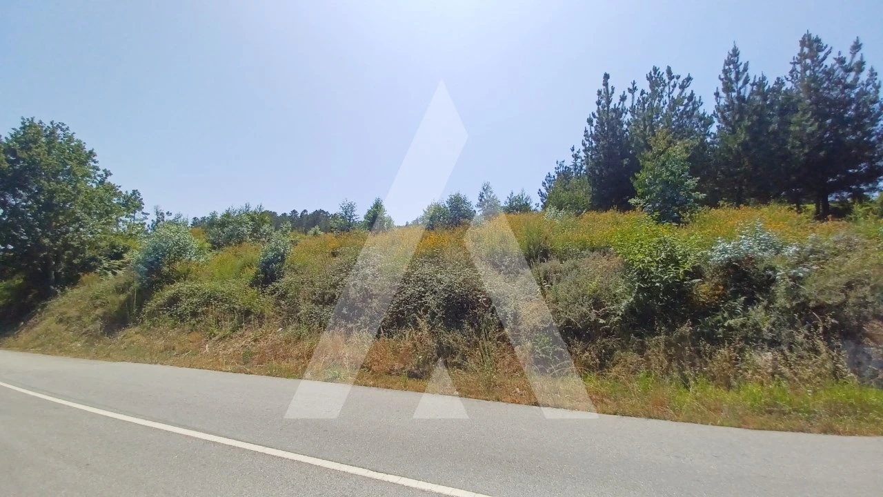 Terreno para Venda em Couto de Baixo e Couto de Cima Foto 10