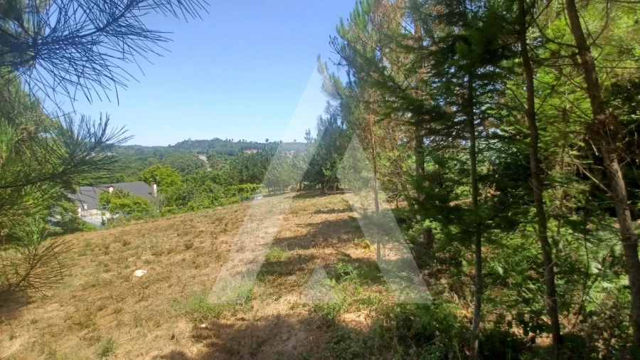 Terreno para Venda em Couto de Baixo e Couto de Cima Foto 2