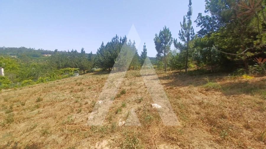 Terreno para Venda em Couto de Baixo e Couto de Cima Foto 3