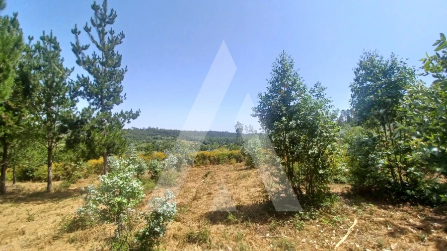 Terreno para Venda em Couto de Baixo e Couto de Cima Foto 5