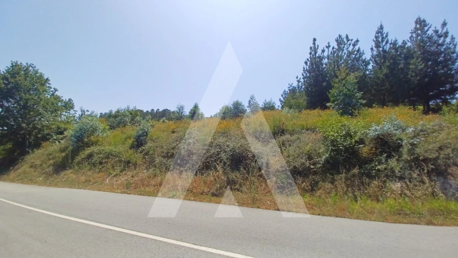 Terreno para Venda em Couto de Baixo e Couto de Cima Foto 10